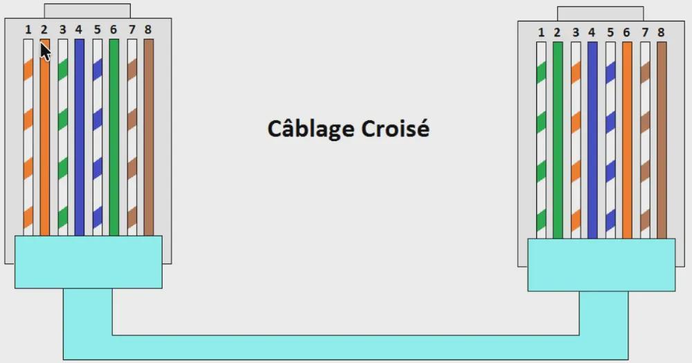 Le câble croisé (crossover)