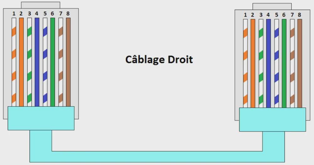 Le câble droit (straight-through)
