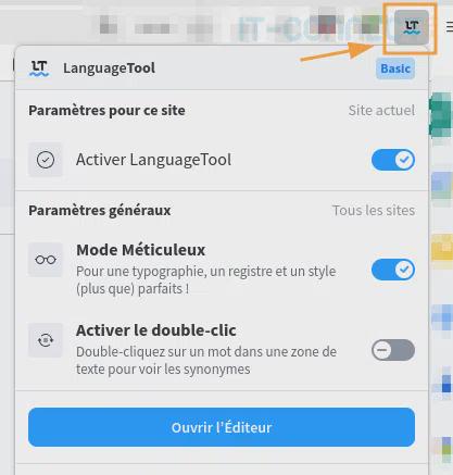 Icône LanguageTool dans la barre du navigateur.